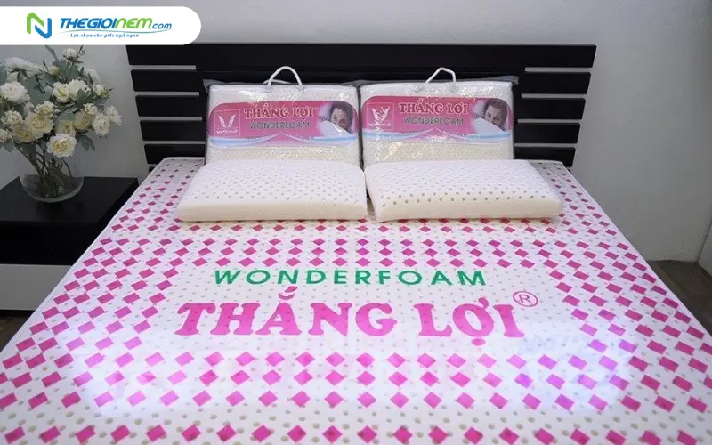 Giới thiệu về thương hiệu nệm Foam Thắng Lợi