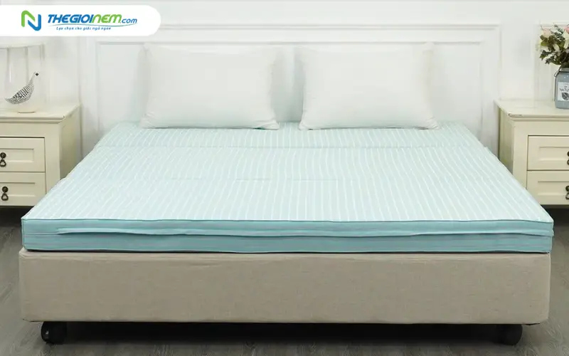 Nệm bông ép chần gòn Edena