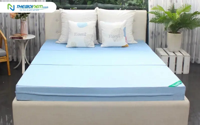 Nệm bông ép Edena