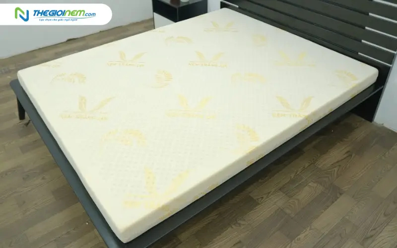 Nệm cao su foam Gold Latex Thắng Lợi