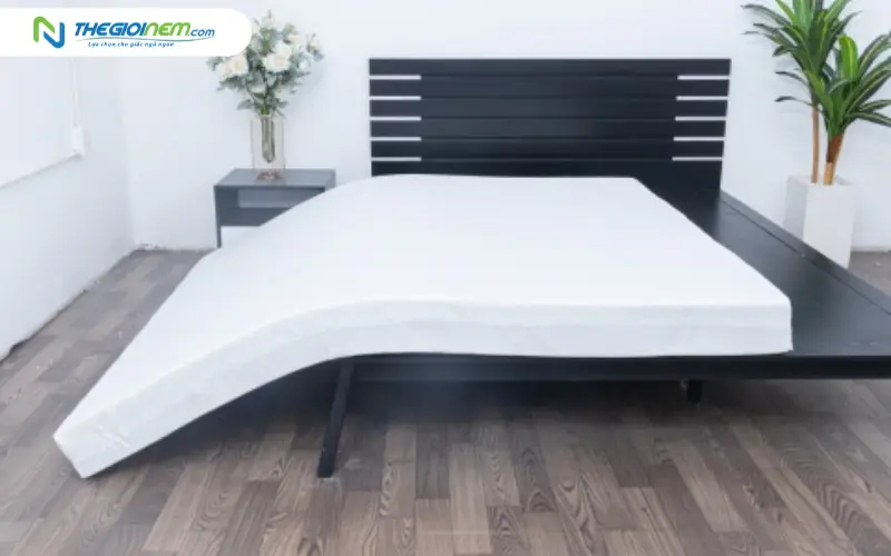 Nệm cao su WonderFoam Thắng Lợi