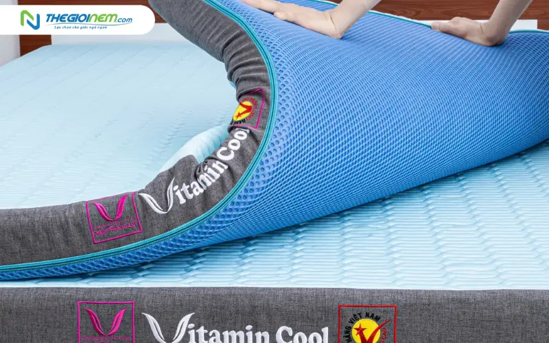 Nệm điều hoà Vitamin Cool Thắng Lợi