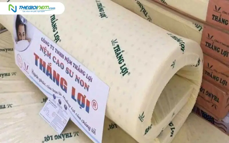 Tổng quan về hệ sinh thái sản phẩm nệm Thắng Lợi