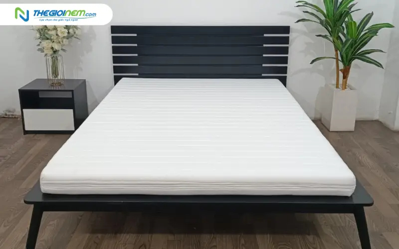 ưu điểm nệm foam thắng lợi