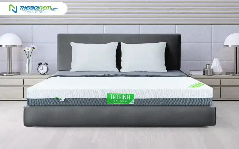Nệm cao su nhân tạo TATANA