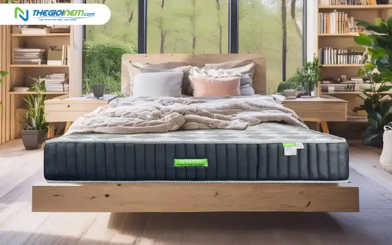 Nệm lò xo liên kết TATANA Liza