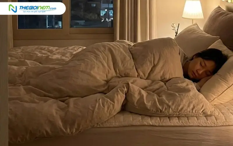 Ánh sáng, nhiệt độ và tiếng ồn