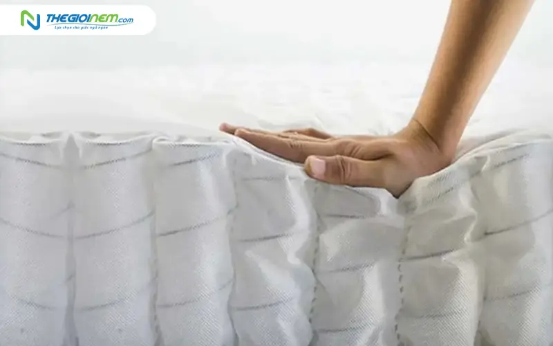 Hệ thống lò xo túi độc lập (IPS)