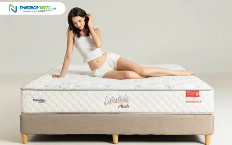 Kinh nghiệm mua nệm lò xo Dunlopillo