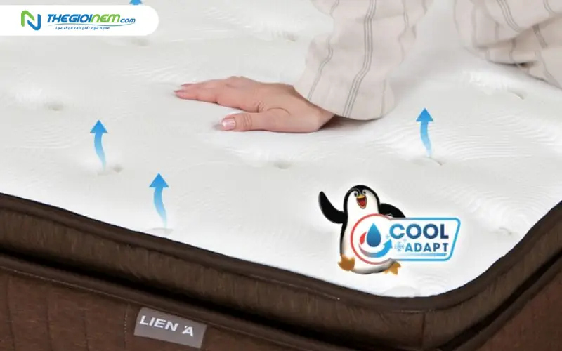 Sự thông thoáng tuyệt đối nhờ hệ thống lưu thông khí