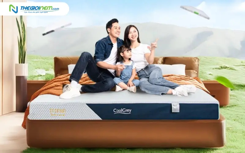 Giá thành hợp lý với thu nhập của đại đa số gia đình