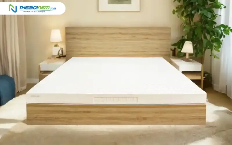 Nệm cao su Vạn Thành Unique