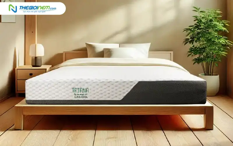 Nệm foam TATANA