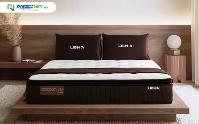 Nệm lò xo túi Liên Á Cocoon 2.0 Luxe