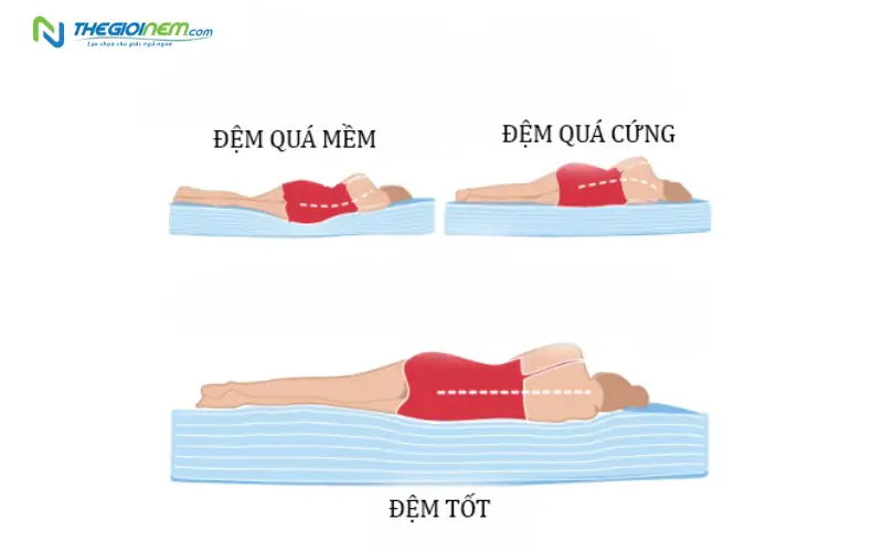 Nệm quá cứng hoặc quá mềm ảnh hưởng đến lưu thông máu như thế nào