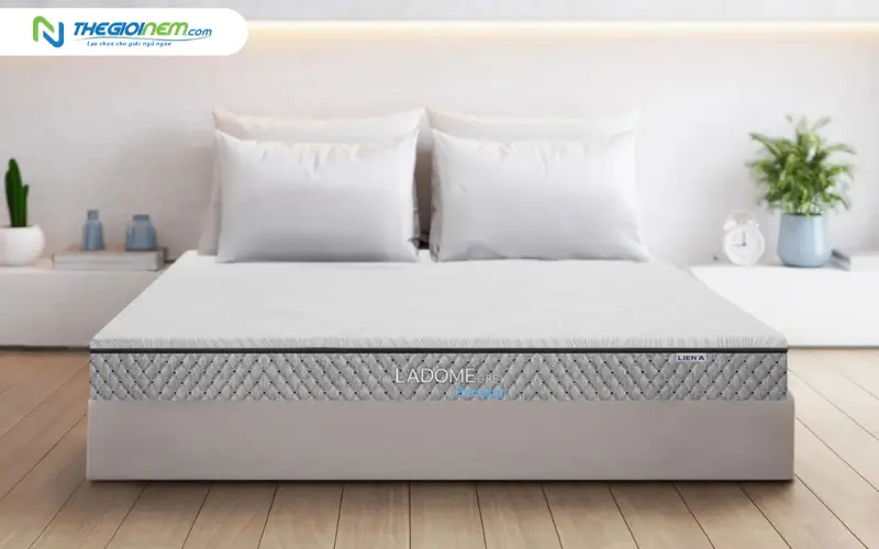 Tại sao nệm cao su Liên Á là lựa chọn hàng đầu của người dân Quận 12