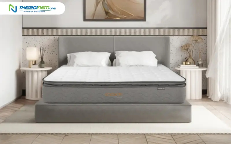 Thiết kế chuẩn Châu Âu