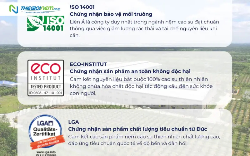Thương hiệu uy tín với chứng chỉ quốc tế (LGA, ECO)