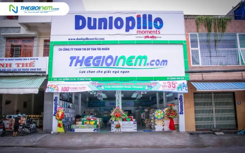 Địa chỉ mua nệm cao su Vạn Thành uy tín tại Nha Trang