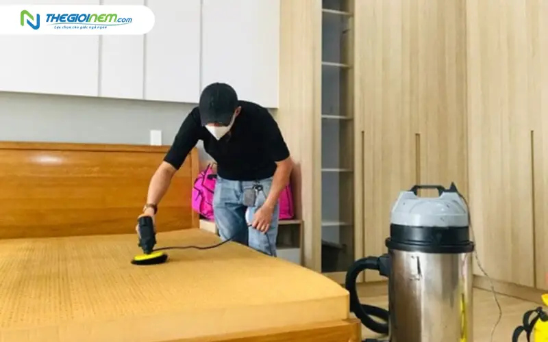 Hướng dẫn bảo quản và sử dụng nệm cao su Vạn Thành đúng cách