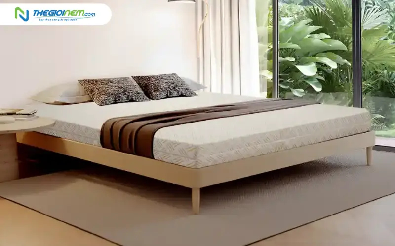 Nệm cao su Kim Cương