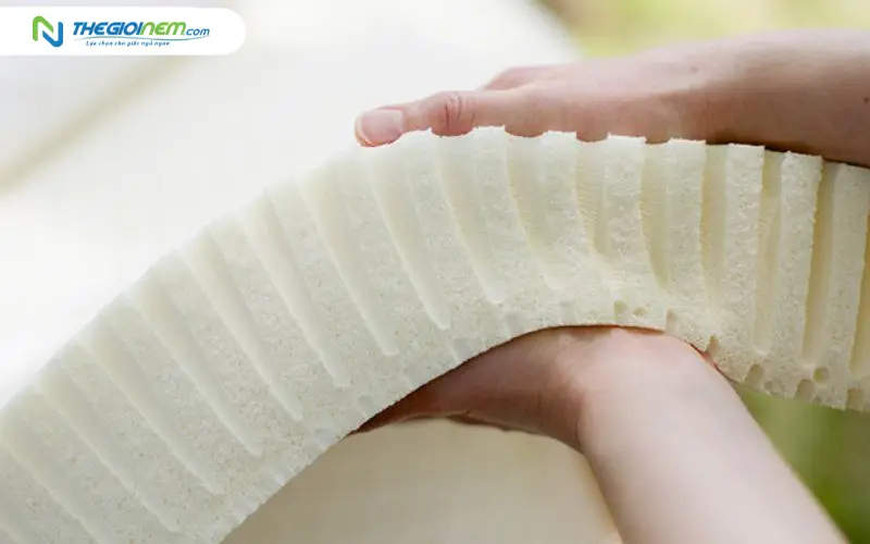 Kinh nghiệm chọn mua nệm cao su phù hợp với khí hậu ven biển Nha Trang