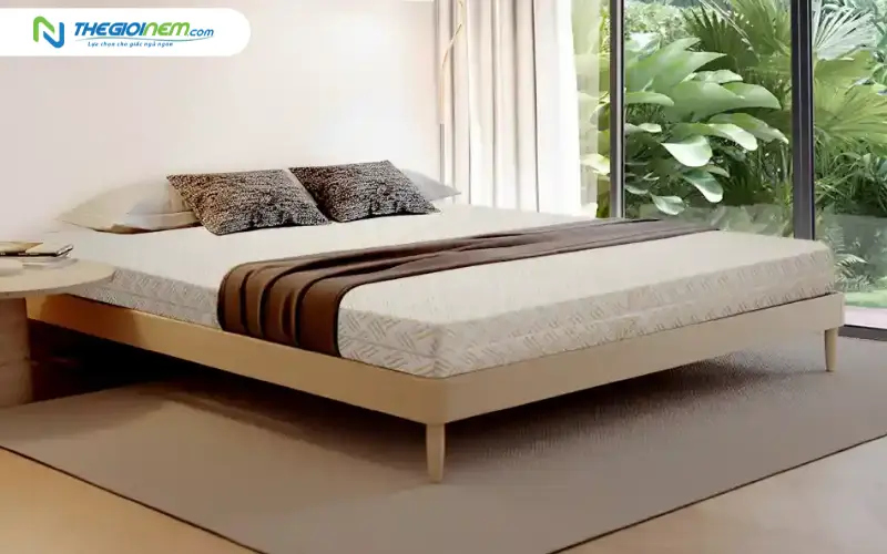 Nệm cao su Kim Cương