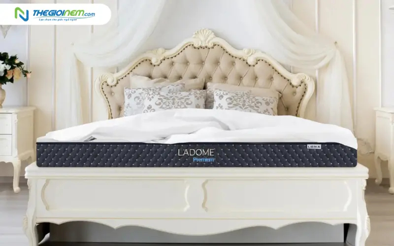 Nệm cao su Liên Á