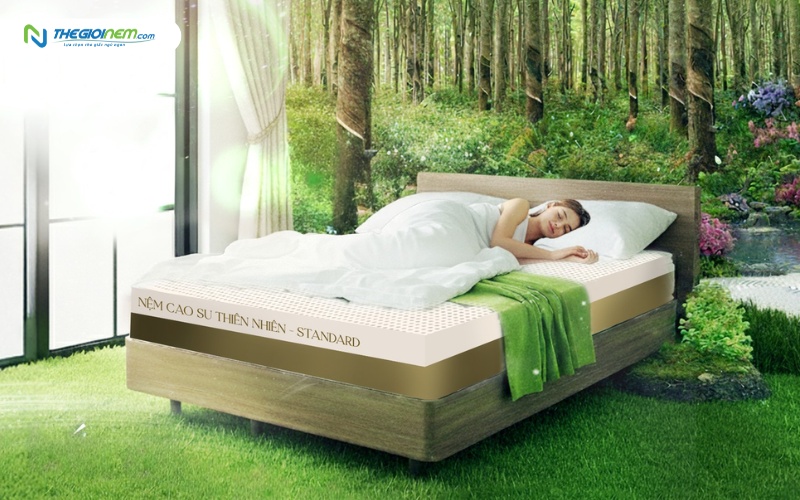 Nệm cao su thiên nhiên Vạn Thành Standard