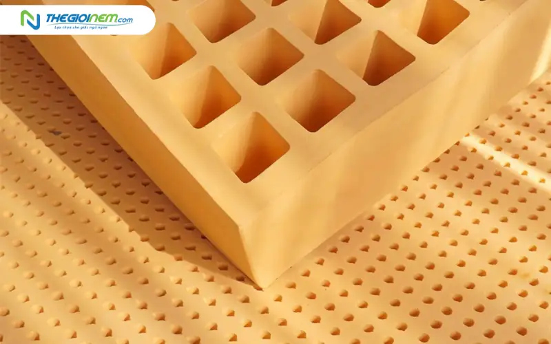 Tại sao nệm cao su thiên nhiên luôn là lựa chọn hàng đầu