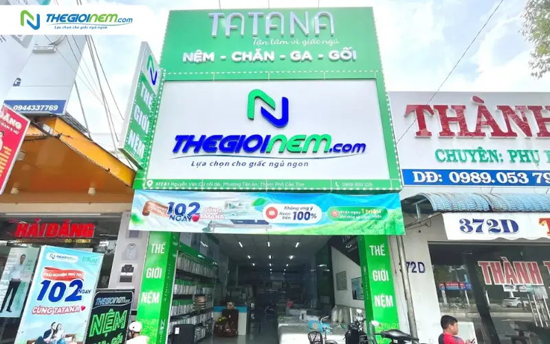Địa chỉ cửa hàng bán nệm cao su nhân tạo giá rẻ tại Cần Thơ