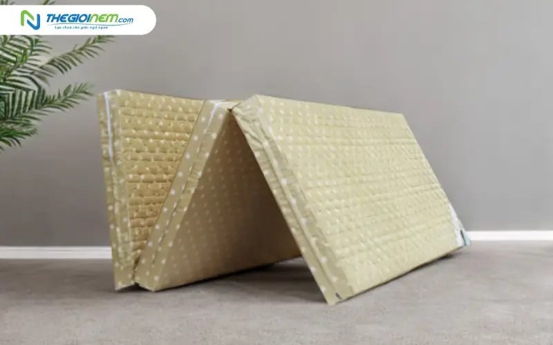 Nệm bông ép Everon Ceramic