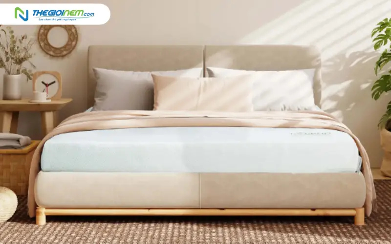 Nệm cao su Everon Natural Charcoal Latex Cool