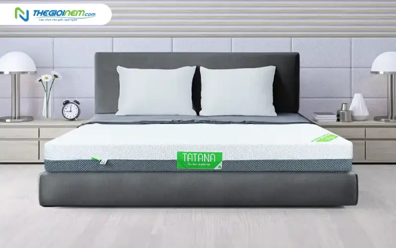 Nệm cao su nhân tạo mát lạnh TATANA