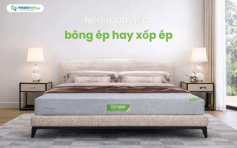 nên mua nệm bông ép hay xốp ép