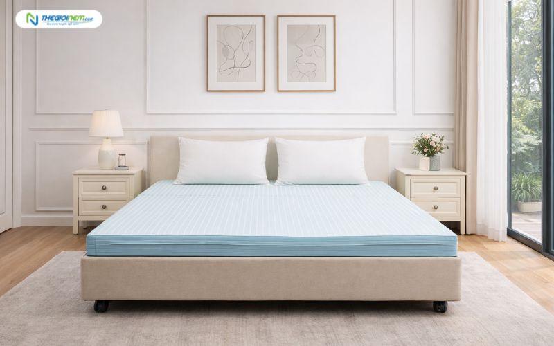 Đệm bông ép Edena