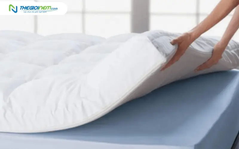 Khi nào nên bảo trì, khi nào nên thay mới