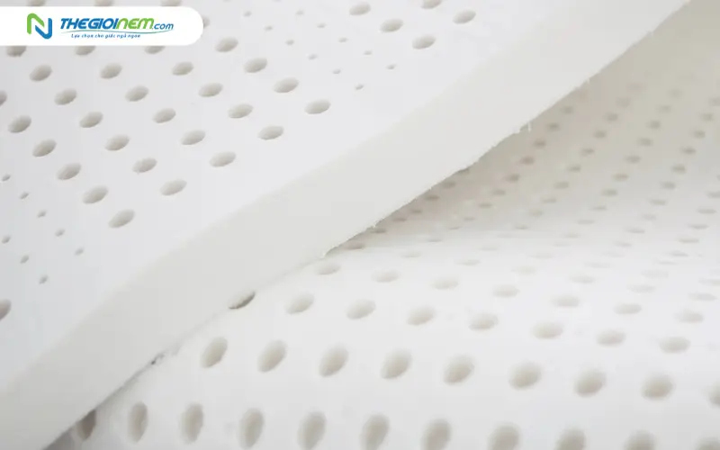 Nệm cao su thiên nhiên - Lựa chọn xanh cho môi trường