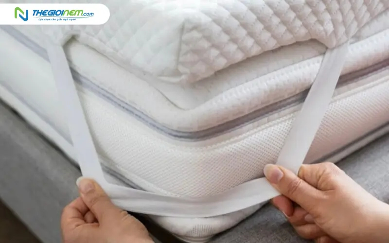 Cấu tạo và độ dày