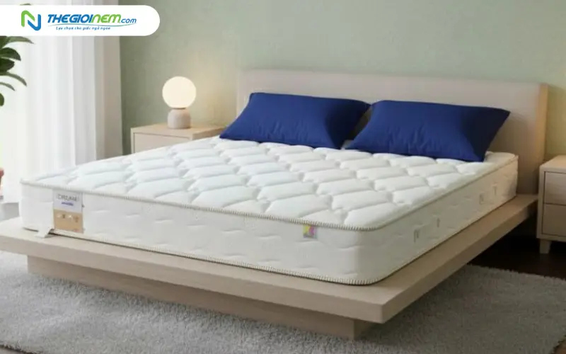 Nệm lò xo kháng cháy Dunlopillo Dream