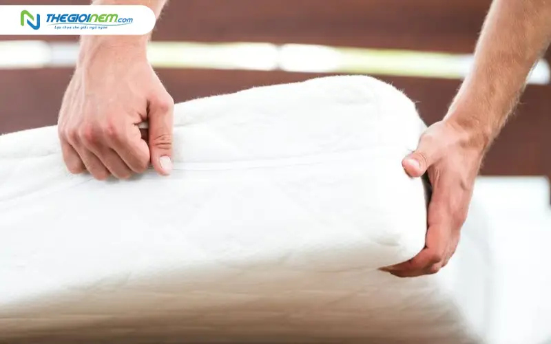 Tần suất thay nệm khuyến nghị theo từng dòng