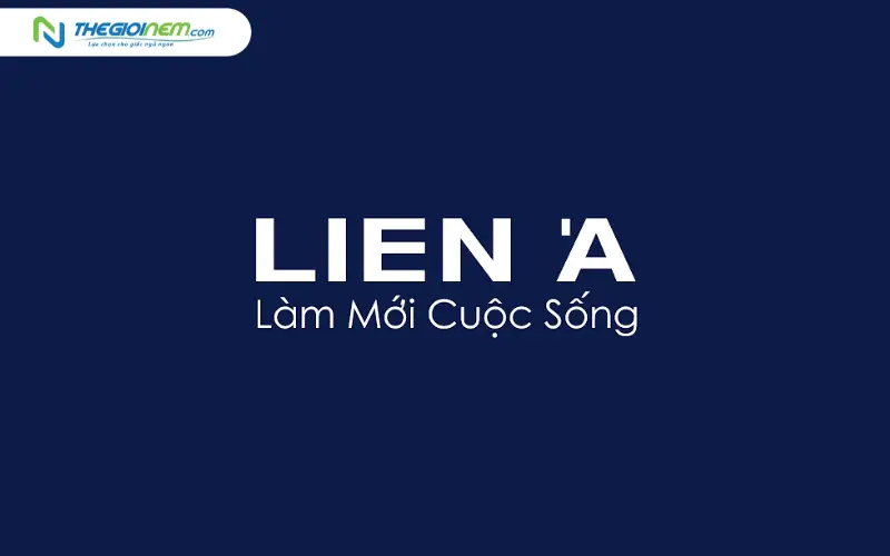 Thương hiệu nệm Liên Á – Tiêu chuẩn xuất khẩu toàn cầu