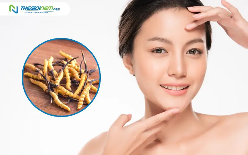 Đông trùng hạ thảo là gì? Tại sao phụ nữ hiện đại nên sử dụng?