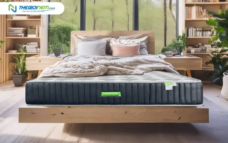 Giải pháp chăm sóc sức khỏe toàn diện tại Thế Giới Nệm