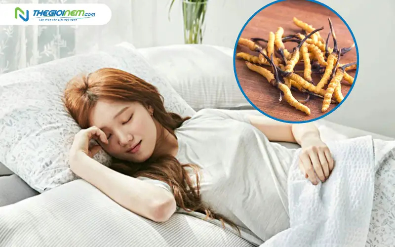 Kết hợp đông trùng hạ thảo và không gian ngủ chuẩn để tối ưu sức khỏe