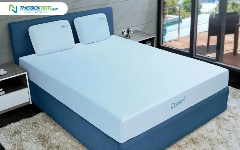Nệm foam Edena Coolena