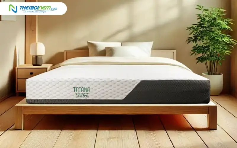 Nệm Foam TATANA Luna Cool