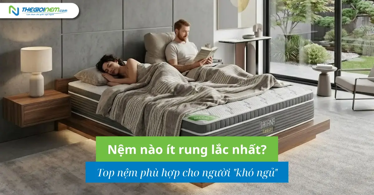 nem-nao-it-rung-lac-nhat-top-nem-phu-hop-cho-nguoi-kho-ngu