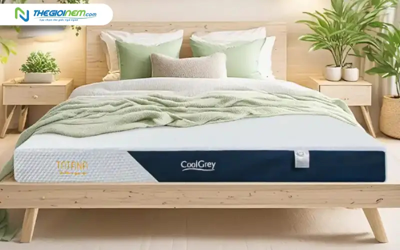 Tối ưu không gian ngủ với nệm cao su thiên nhiên từ Thế Giới Nệm