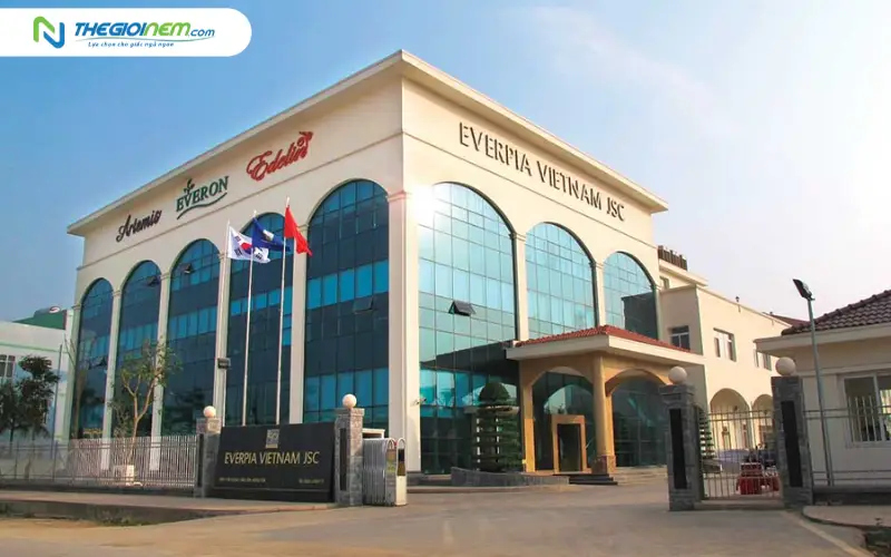 Lịch sử hình thành và phát triển của Công ty Everpia tại Việt Nam